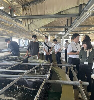 京都府栽培漁業センターの見学